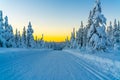 Cross country skiing slope running through a snow covered frozen forest at dusk Royalty Free Stock Photo