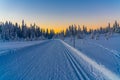 Cross country skiing slope running through a snow covered frozen forest at dusk