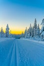 Cross country skiing slope running through a snow covered frozen forest at dusk Royalty Free Stock Photo