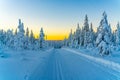 Cross country skiing slope running through a snow covered frozen forest at dusk Royalty Free Stock Photo
