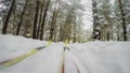 Cross country skiing on snowy winter day in forest, abstract skier on track. Concept winter healthy lifstyle.