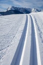 Cross country skiing tracks Royalty Free Stock Photo