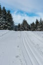 Cross-country skiing trail bellow Lysa hora hill in winter Moravskoslezske Beskydy mountains in Czech republic Royalty Free Stock Photo