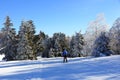 Cross-country skiing in the Vosges in winter