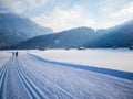 Cross-country skiing in winter, Oberstdorf, Allgau, Germany