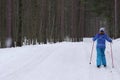 Cross-country skiing in woods Royalty Free Stock Photo