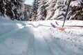 cross-country skiing in the woods in the snow in winter Royalty Free Stock Photo
