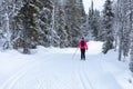 Cross country skiing in Yllas, Finland