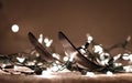 Cross country skis closeup with Christmas lights on plain background Royalty Free Stock Photo