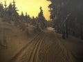 Cross country track in the spruce trees forest at winter evening sunset Royalty Free Stock Photo