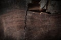 Cross cut texture of vintage cracked tree trunk Royalty Free Stock Photo