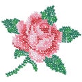 Cross embroidered rose. Color image of on a white background. Needlework. Vector illustration for handcraft