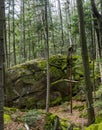 Cross in the forest at the place of death of five fighters of Ukrainian Insurgent Army UPA in 1945, Skole Beskids National Nature