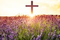 The cross of God in the rays of the sun. B Royalty Free Stock Photo