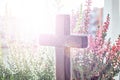 The cross of God in the rays of the sun. Background of religions Royalty Free Stock Photo