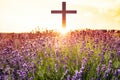 The cross of God in the rays of the sun. Royalty Free Stock Photo