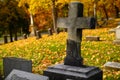 A cross in a graveyard in Autumn Royalty Free Stock Photo