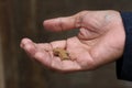 Cross in hand. Wooden small holy cross in senior Christian man hand closeup. In deep feeling of love, surrender and hope.