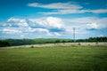 Cross on the hill. Forests, meadows and fields. A beautiful landscape. KrasnobrÃÂ³d, Poland