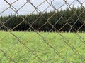 Cross link metallic wire fence with beautiful scenic background. Fence on green grass