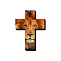 The cross and the lion. Christian symbols.