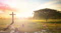 Cross in meadow and lamb on sunset Royalty Free Stock Photo