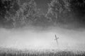 Cross in a misty field forest countryside