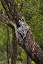 Cross near Church of St. King Lazar near Prolom Banja. Serbia Royalty Free Stock Photo