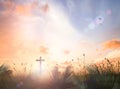 Cross with palm leaves over meadow autumn sunset