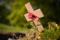 Memorials and Remembrance from World War One in Belgium and France
