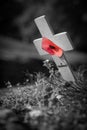 Memorials and Remembrance from World War One in Belgium and France