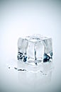 Cross Processe melting ice cube Royalty Free Stock Photo