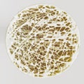 Cross section of an advanced osteoporosis -high details - Stage 4 - 3d rendering