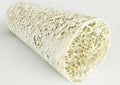 Cross section of an advanced osteoporosis -high details - Stage 4 - 3d rendering Royalty Free Stock Photo