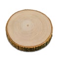 Cross section of ashen tree, isolated. Wood textures. Tree trunk close-up.