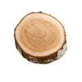Cross section of birch log showing growth rings isolated on transparent background with clipping path