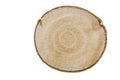 Cross section of a birch wood trunck