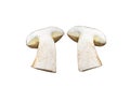 A cross-section of a brown bay bolete, isolated on white with clipping path.