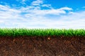 Cross section brown soil and green grass in underground. Royalty Free Stock Photo