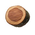 Cross section of cherry tree log showing dark wood grain isolated on transparent background with clipping path