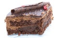 Cross-section of a chocolate cake: appetizing layers of sponge cake and mousse are visible Royalty Free Stock Photo