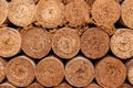 cross-section of cork roll Royalty Free Stock Photo