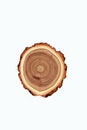 Cross-section of a cut tree trunk with a wavy pattern of annual rings Royalty Free Stock Photo