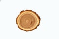 Cross-section of a cut tree trunk with a wavy pattern of annual rings Royalty Free Stock Photo