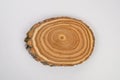 Wooden saw cut of a tree silt with a pronounced pattern of annual rings on a white background Royalty Free Stock Photo