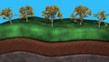 Geological layers beneath the earth , soil. Trees on earth .3d rendering