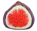 Cross-section of fig tree fruit