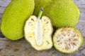 Cross-section of giant Jack-fruit.