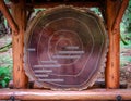 Cross section of a giant redwood tree in Muir Woods, Marin County, CA.