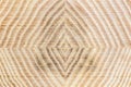 Cross-section of glued timber of pine. grainy wooden surface Royalty Free Stock Photo